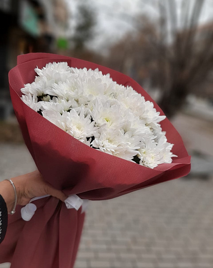 Белая хризантема от Сети Цветочных Магазинов Оранж с доставкой по Алматы