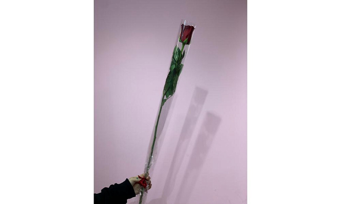 1 метровая роза