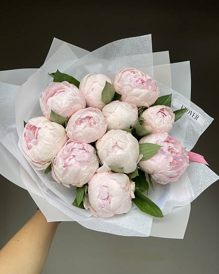15 powder pink peonies with delivery to Astana