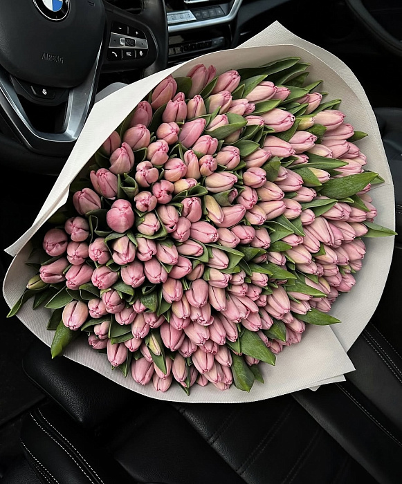 Premium Cutie the largest armful of 201 tulip Premium Cutie the largest armful of 201 tulip