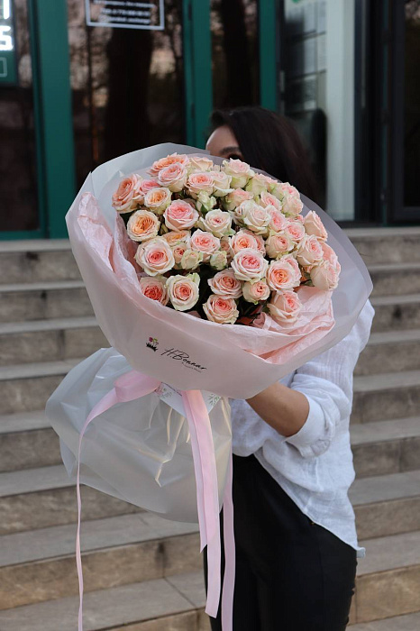 Rosanella bush roses 15 pcs Rosanella bush roses 15 pcs