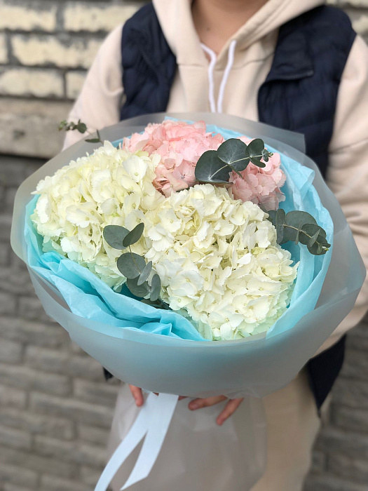 Bouquet of hydrangeas