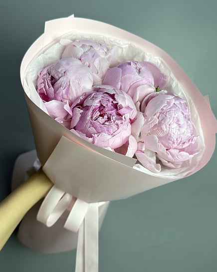 Пионы 5шт  с доставкой по Астане