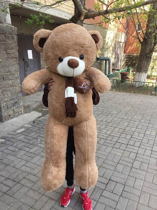 Teddy bear Love