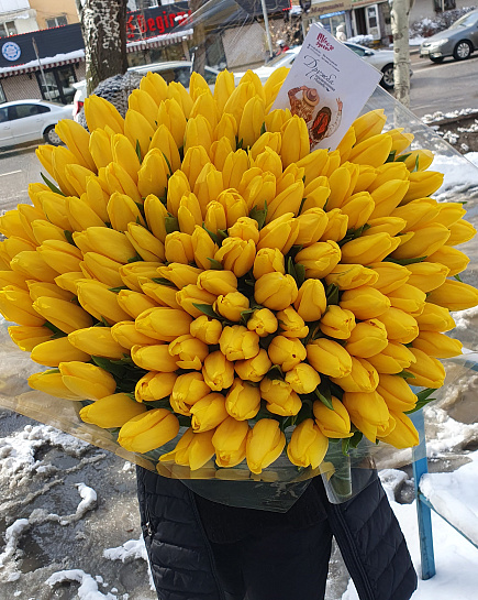 Bouquet of Yellow tulips 151 pcs flowers delivered to Almaty