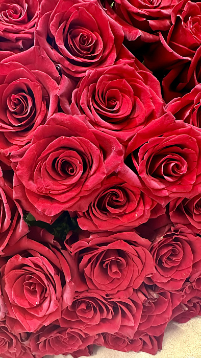 Букет Голландских метровых роз