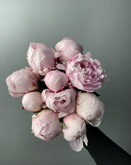 Bouquet of Peonies 1 pack wholesale 10 pcs flowers delivered to Astana
