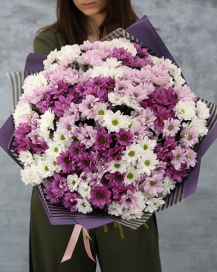 Chrysanthemum with delivery to Almaty