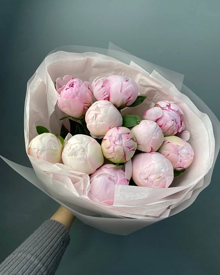 Пионы в пачке с доставкой по Астане