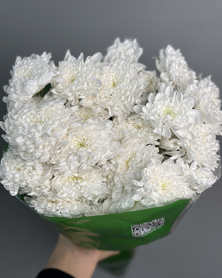 Chrysanthemum Altai in a pack of 5 pcs with delivery to Astana