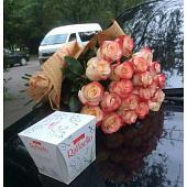Beauty Gift