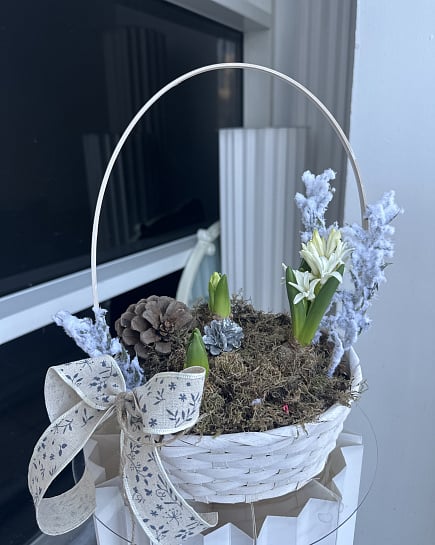Весенняя композиция с гиацинтами и шишками с доставкой по Астане