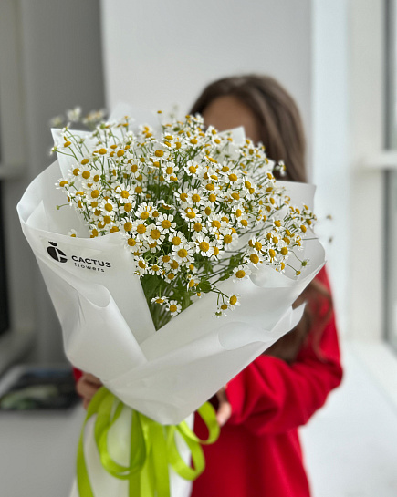 Bouquet of Bouquet of daisies “Summer” flowers delivered to Astana