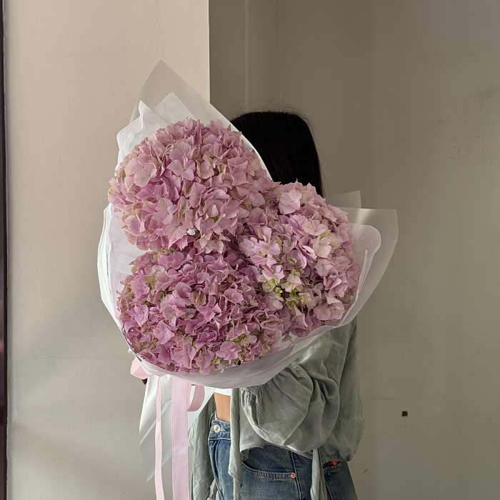 Cloud of Hydrangeas