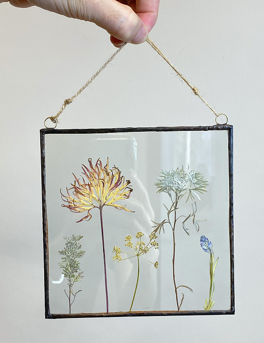 Panel of dried wild flowers August
