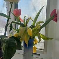 At the recipient's
