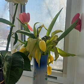 У получателя