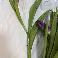 At the recipient's