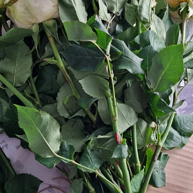 У получателя
