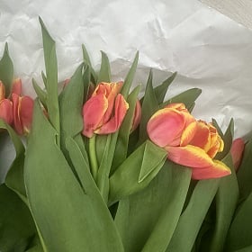 У получателя