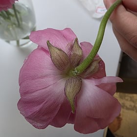 У получателя