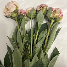 At the recipient's