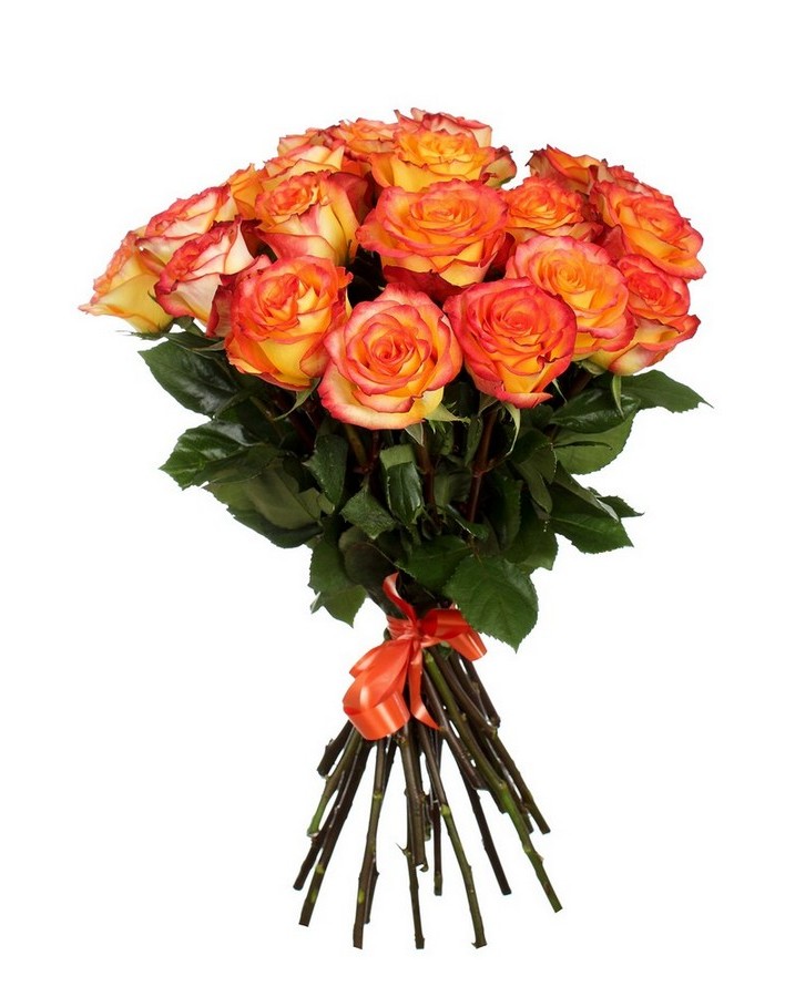 Bouquet of 15 orange roses