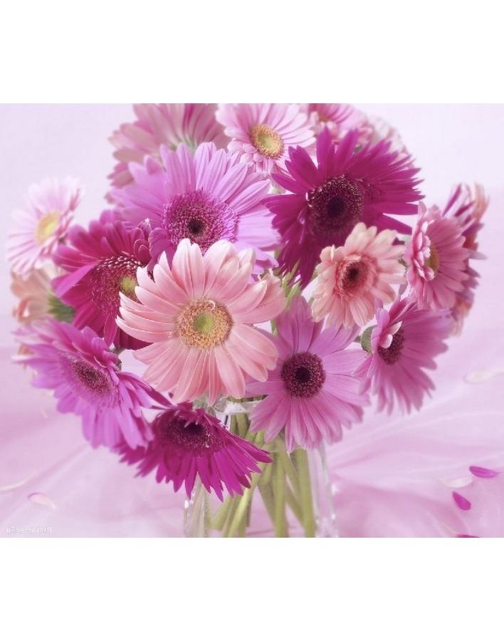 Bouquet of 51 pink asters