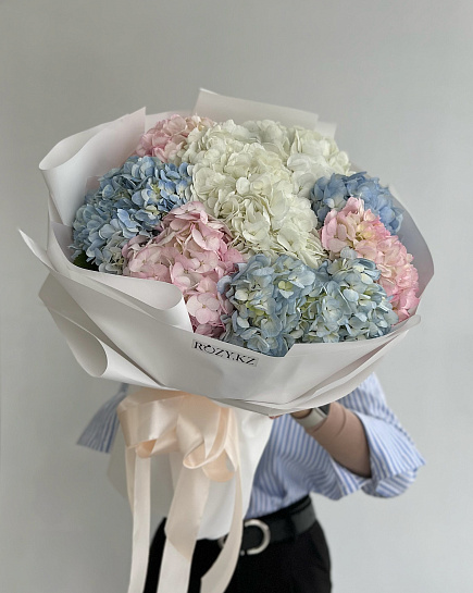Bouquet of bouquet of 9 hydrangeas flowers delivered to Astana