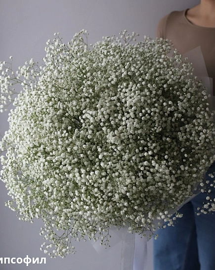 Bouquet of Bouquet of white gypsophila (25) flowers delivered to Shymkent