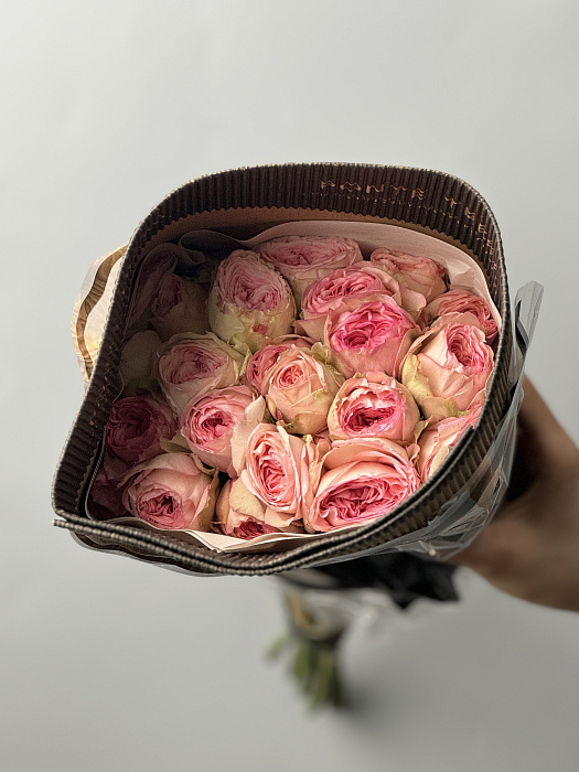 Shrub roses wholesale 1 pack (10 pcs)