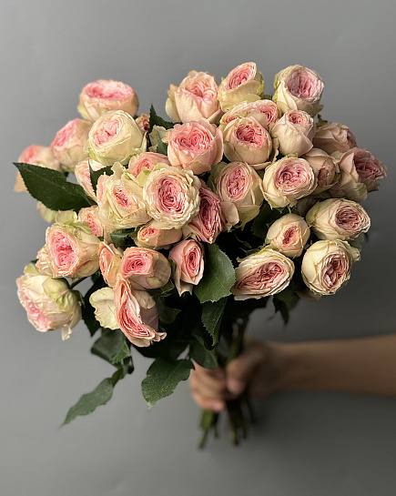 Bouquet of Shrub roses wholesale 1 pack (10 pcs) flowers delivered to Astana