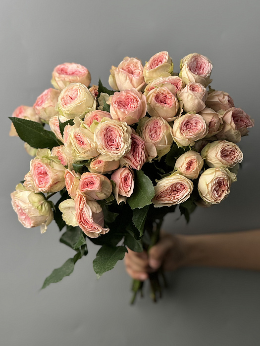 Кустовые розы оптом 1 пачка (10 шт) 