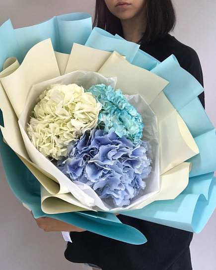Bouquet of royal hydrangeas flowers delivered to Almaty