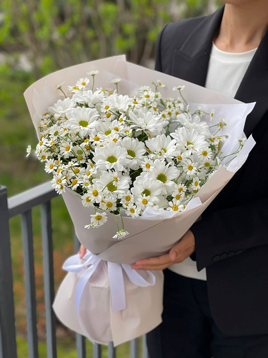 Bouquet of daisies and chrysanthemums