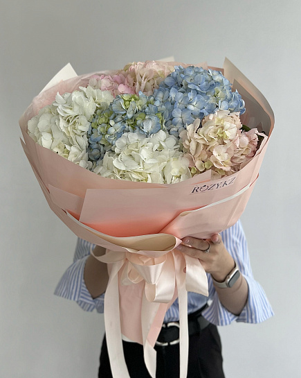 Bouquet of Bouquet of 7 hydrangeas flowers delivered to Astana