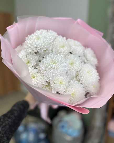 Bouquet of Cloudy flowers delivered to Rudniy