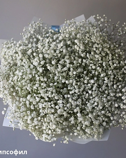 Bouquet of Bouquet of white gypsophila (15) flowers delivered to Shymkent