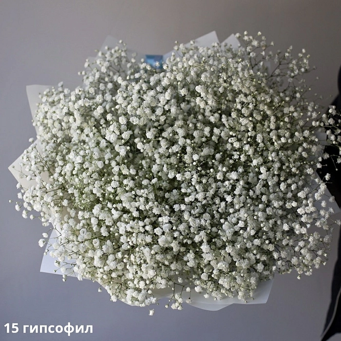Bouquet of white gypsophila (15)