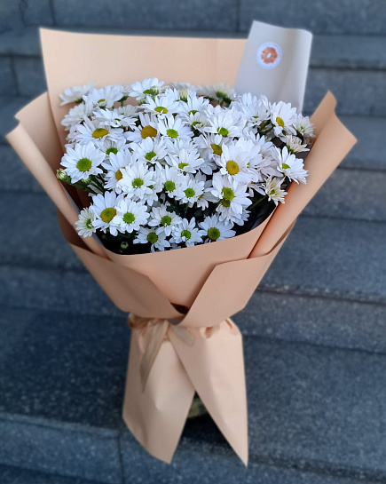 Bouquet of Romashki. flowers delivered to Almaty