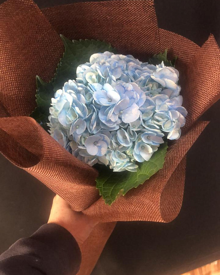 Bouquet of Bouquet of hydrangea FLORIA flowers delivered to Almaty