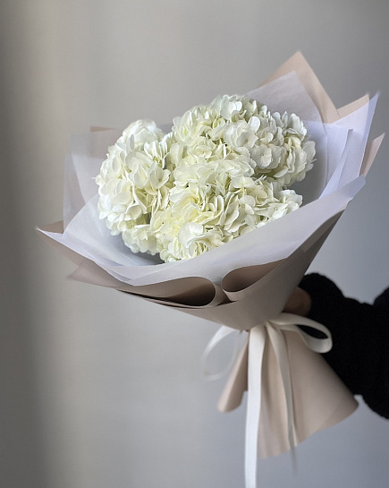 Bouquet of 3 white hydrangeas flowers delivered to Almaty