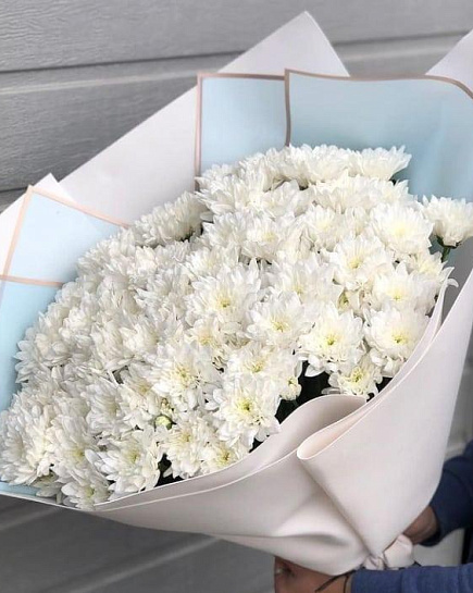 Bouquet of Bouquet of 15 snow-white chrysanthemums flowers delivered to Almaty