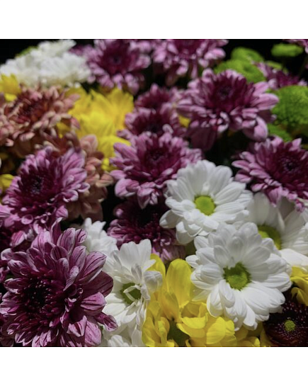 Bouquet of Semitsvetik flowers delivered to Almaty
