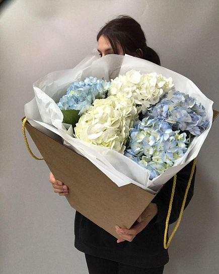 Bouquet of Bouquet of Hydrangeas in a box flowers delivered to Almaty