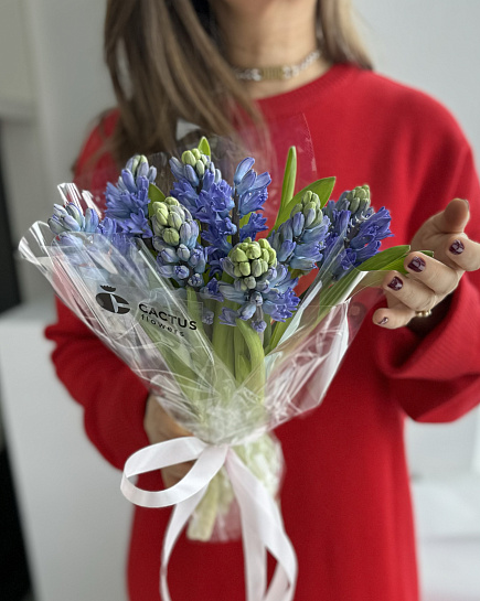 Bouquet of Bouquet of fragrant hyacinths flowers delivered to Astana